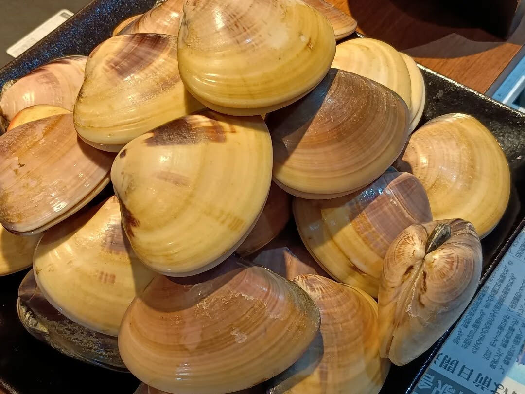 鮎、特大はまぐりなど入荷です！
